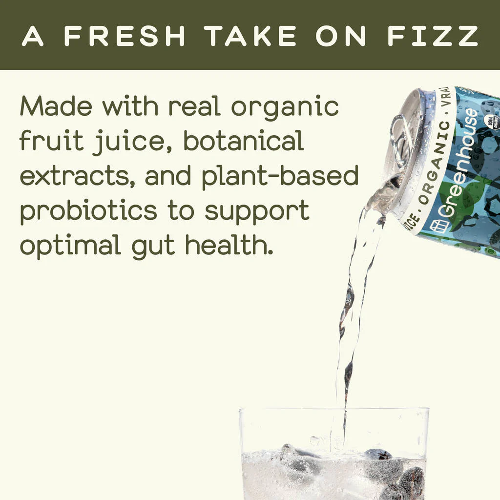 Real Blueberry Sparkling Water - Image 3